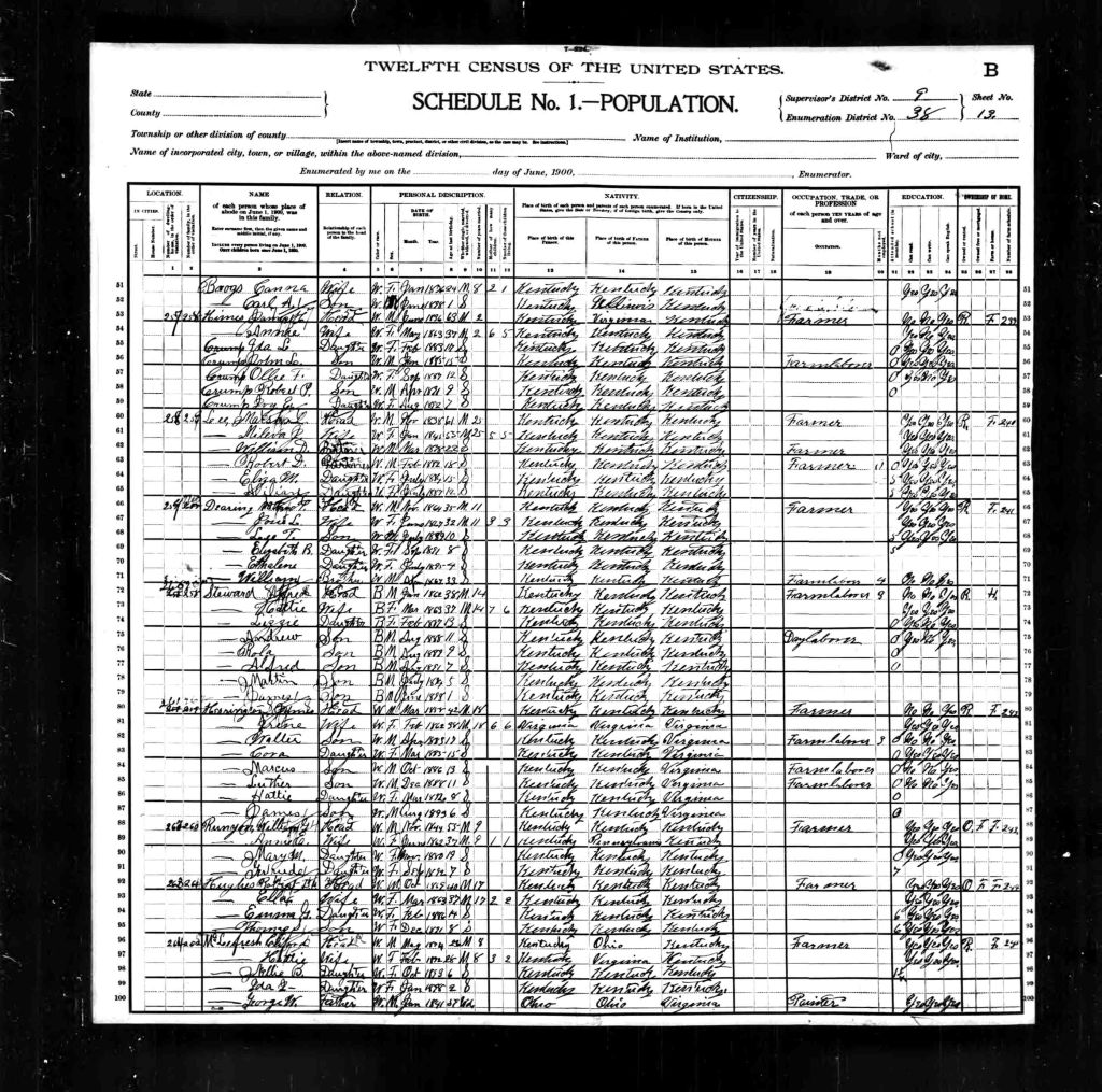 census image