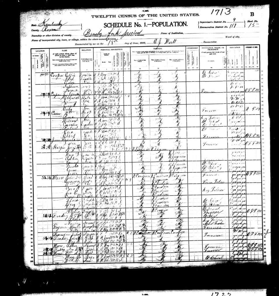 census image