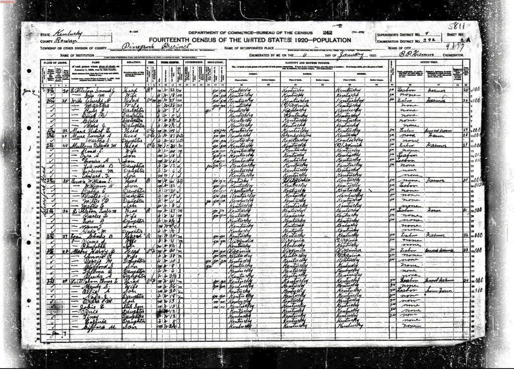 census image