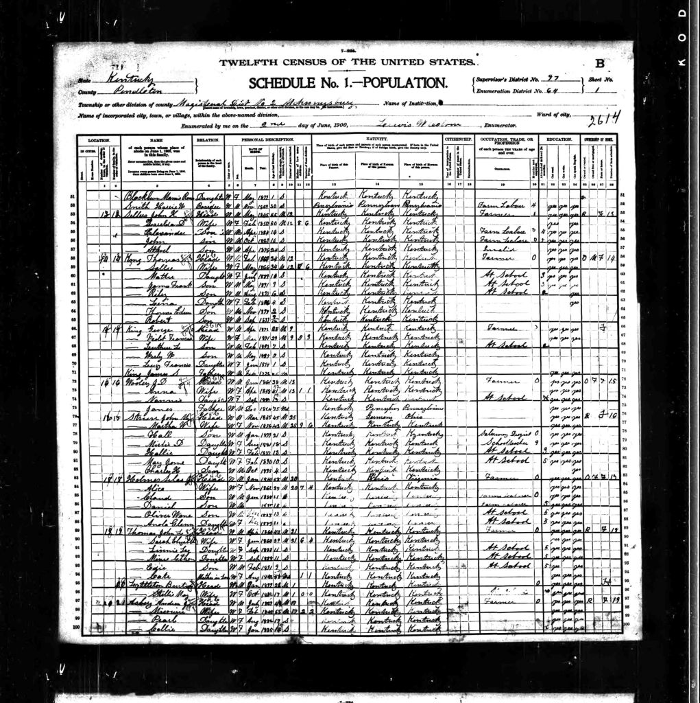 census image