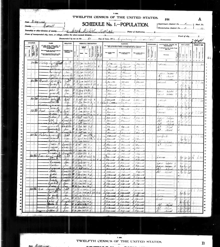 census image