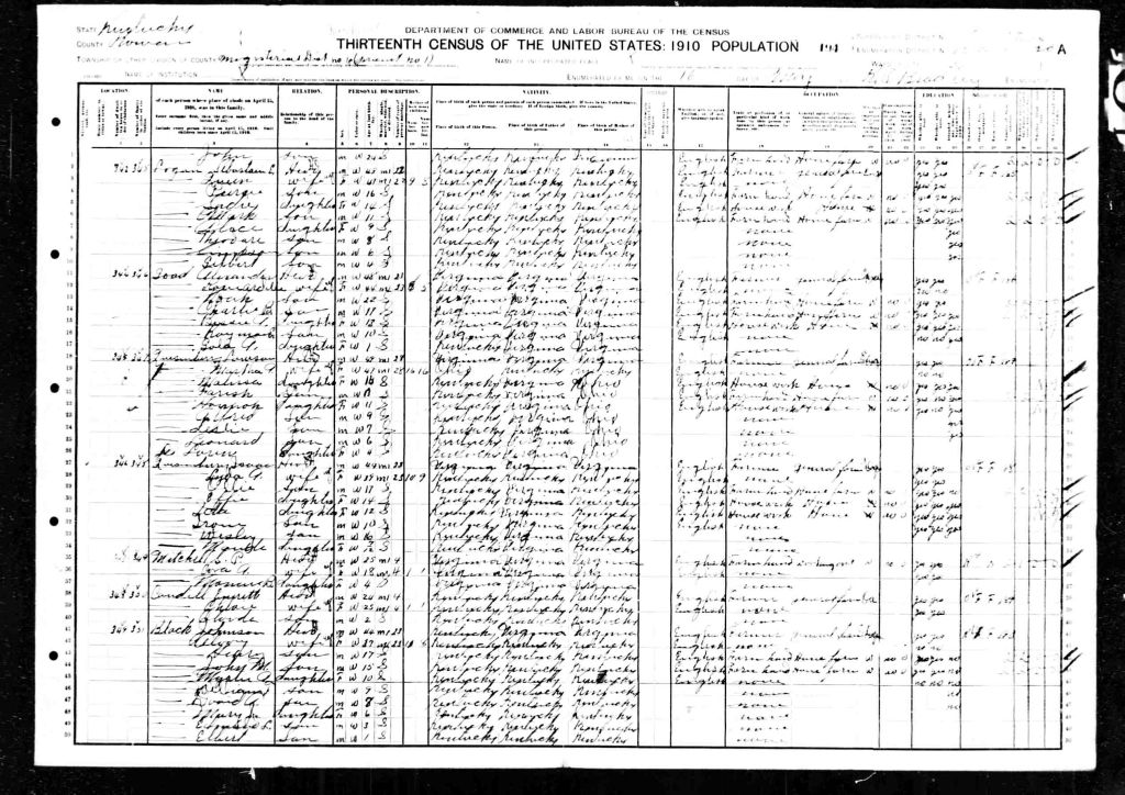 census image