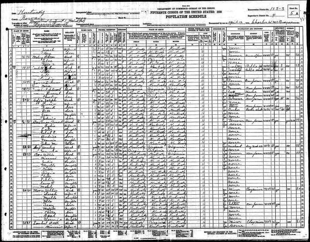 census image