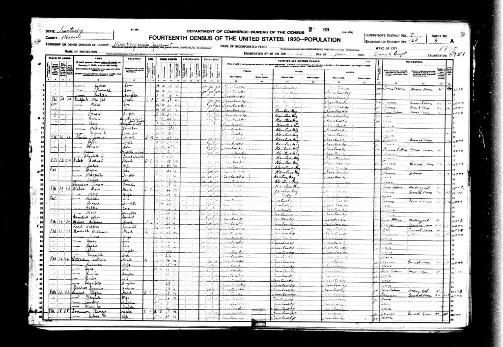 census image