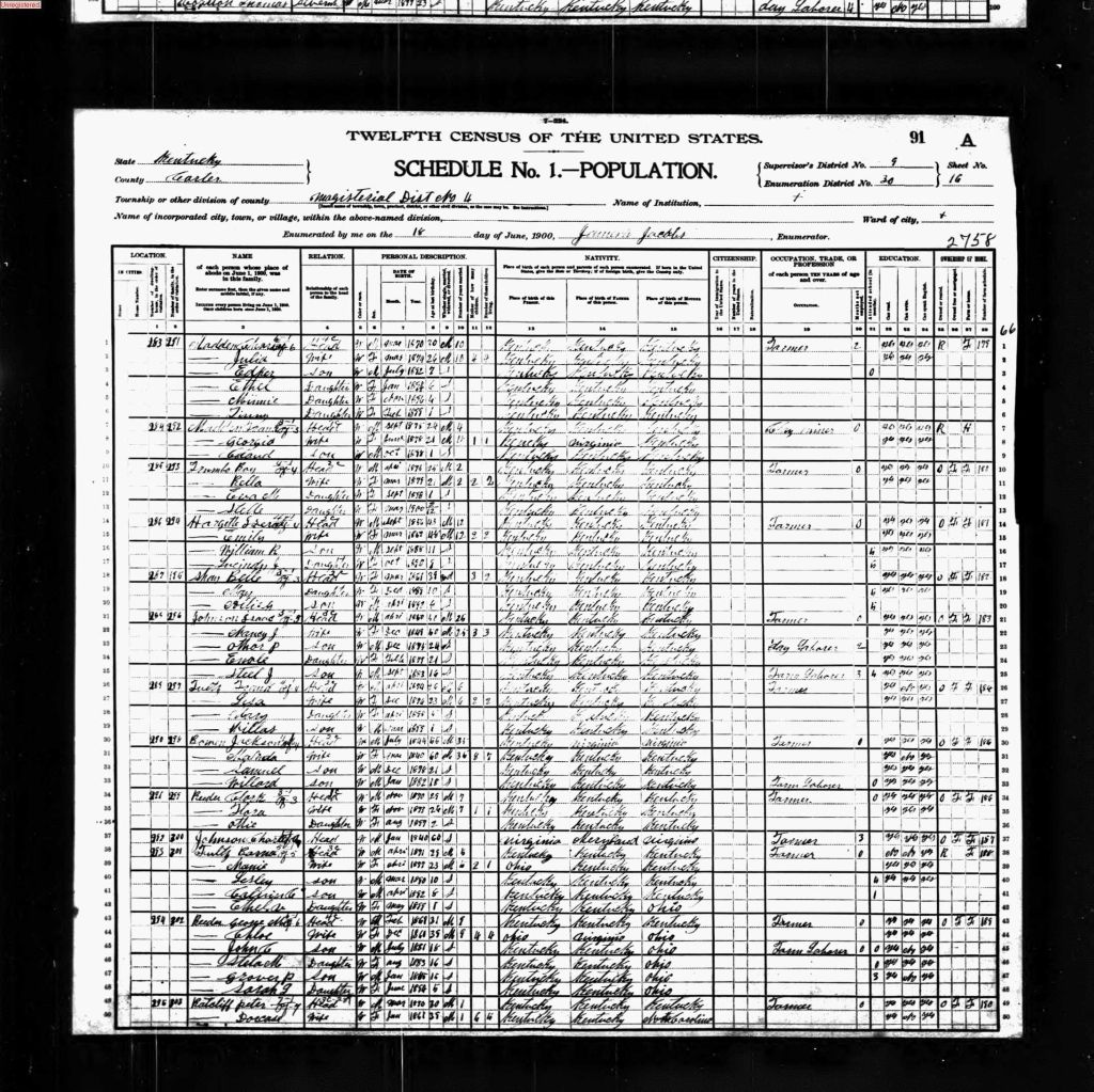 census image