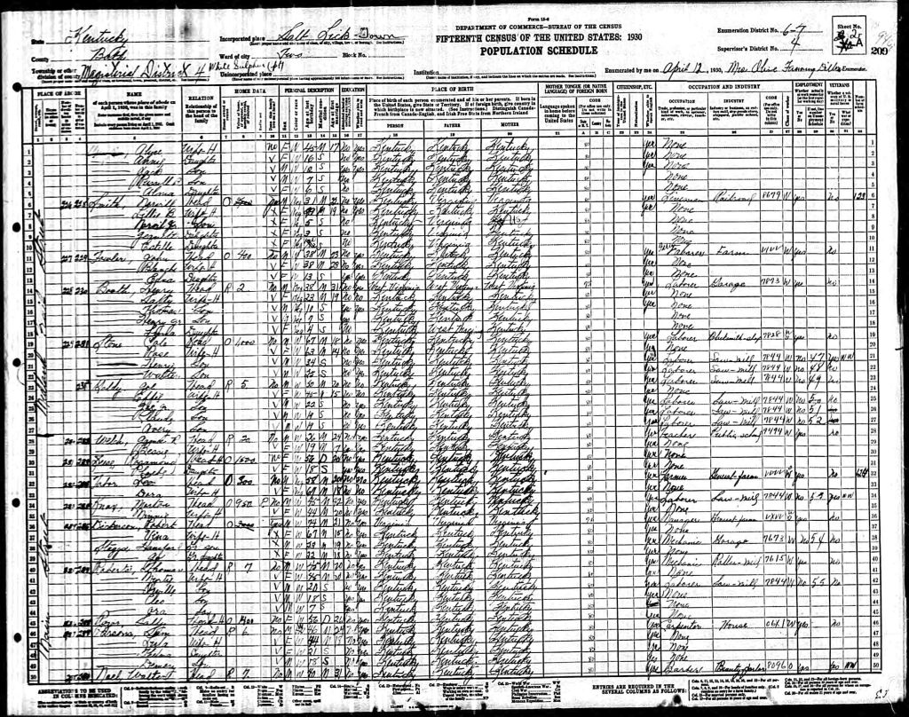 census image