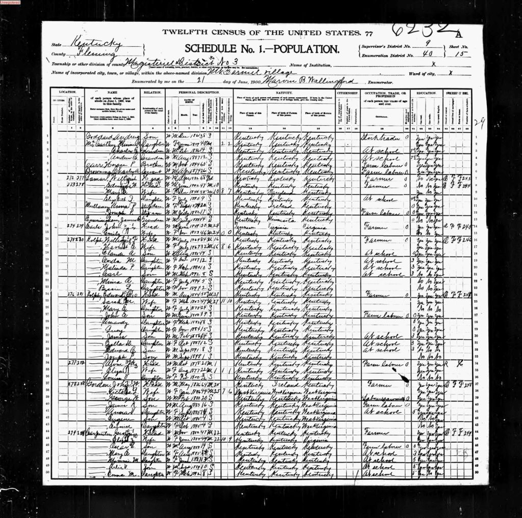 census image