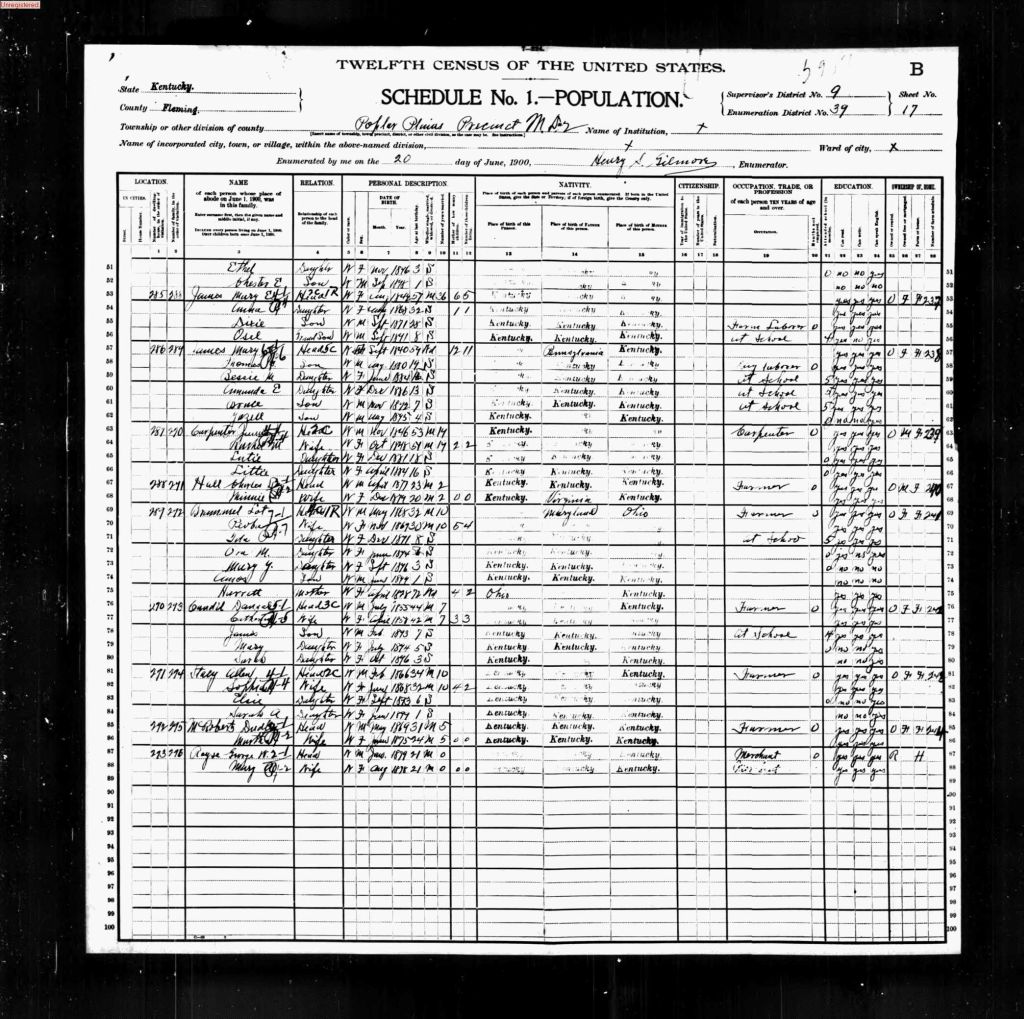 census image