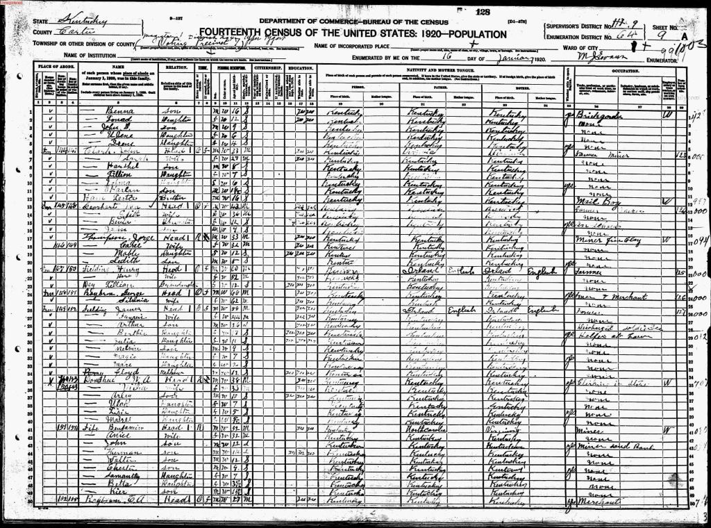 census image