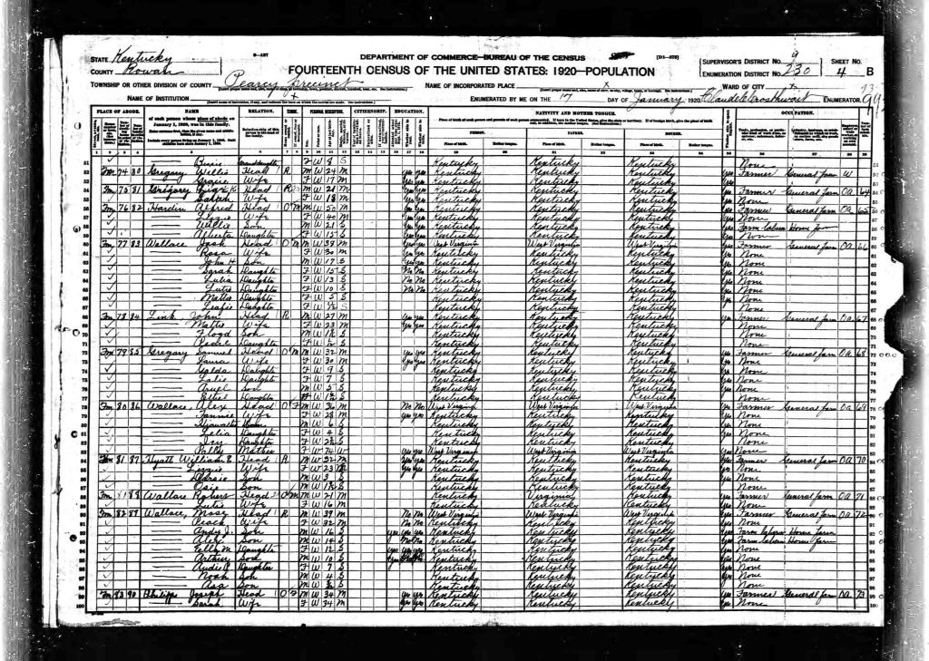 census image