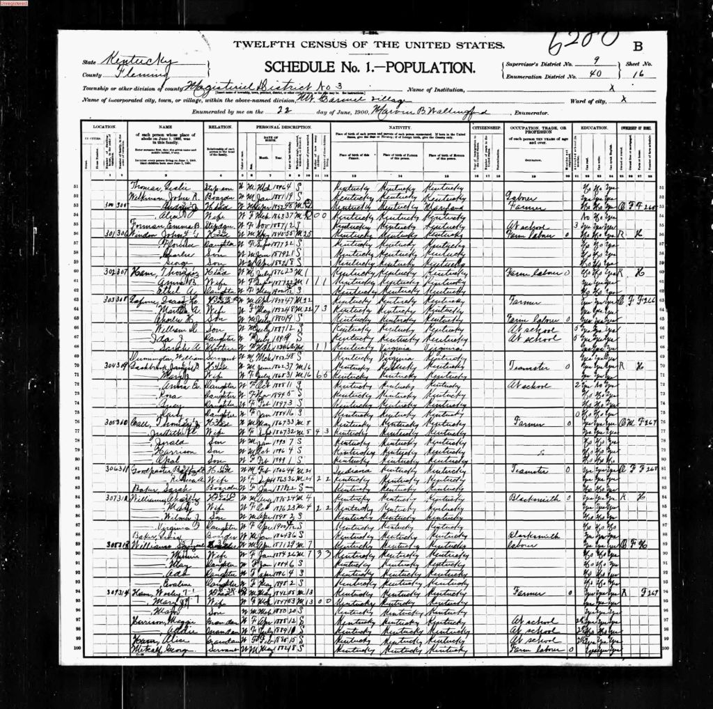 census image