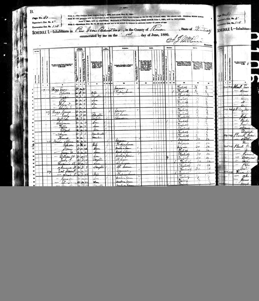 census image