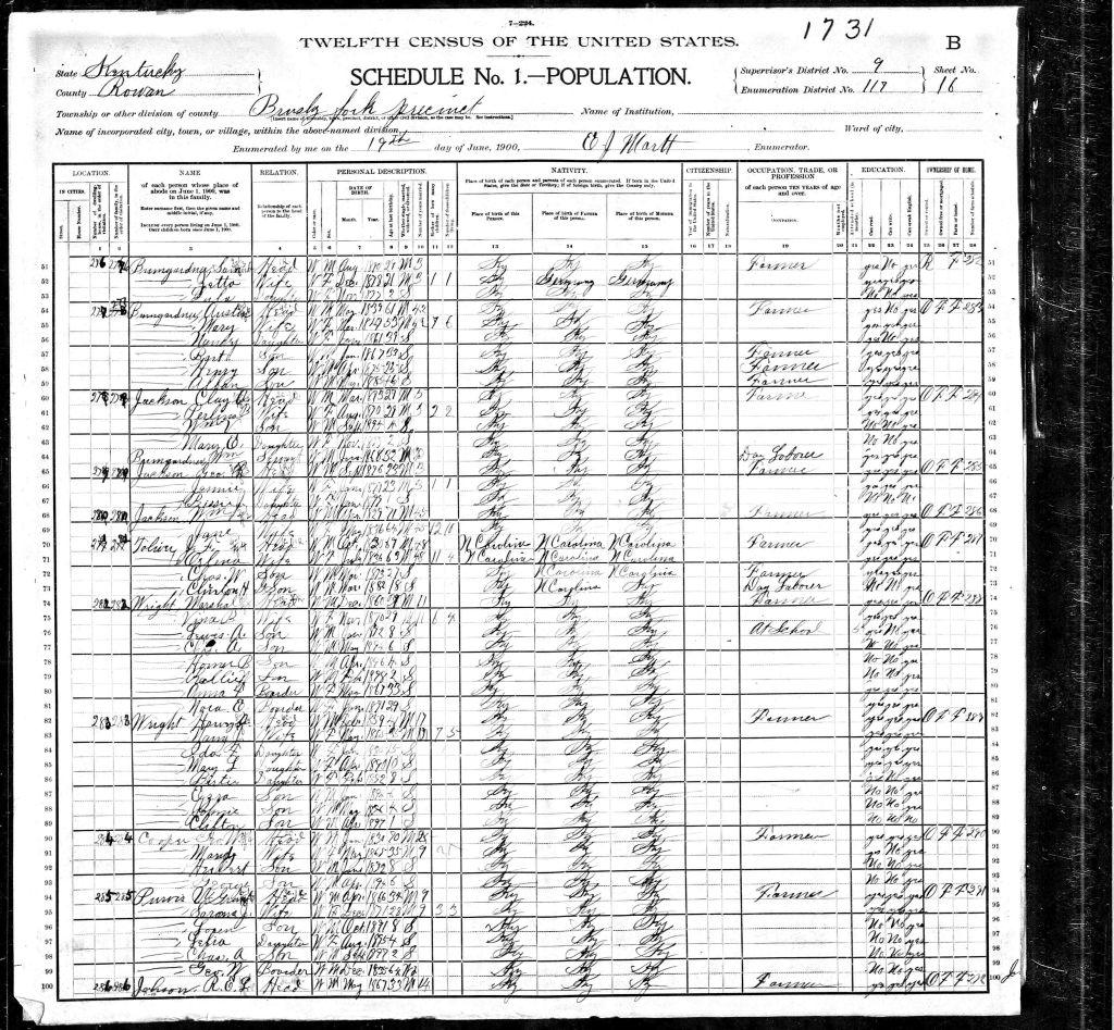 census image