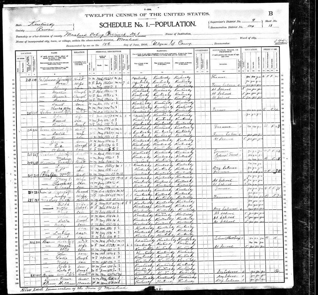 census image