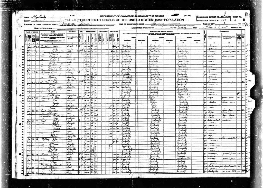 census image