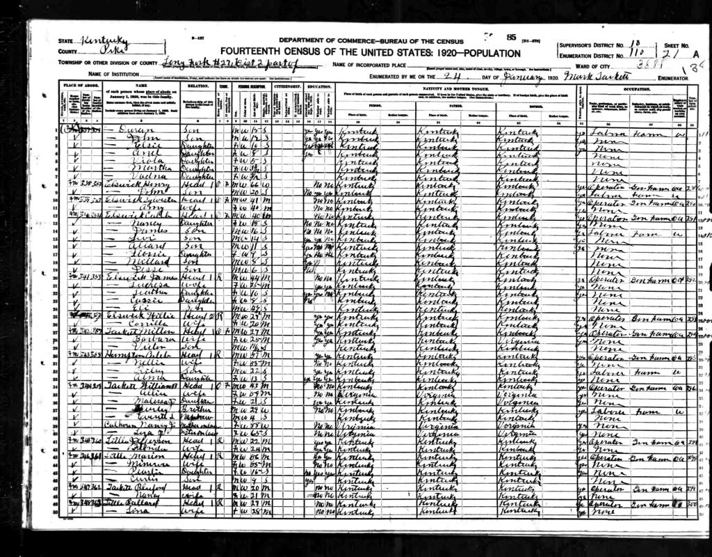 census image