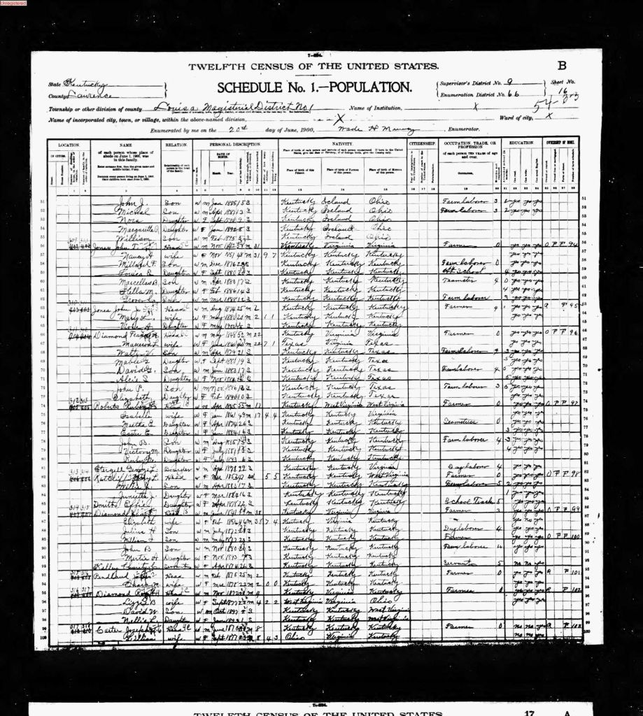 census image