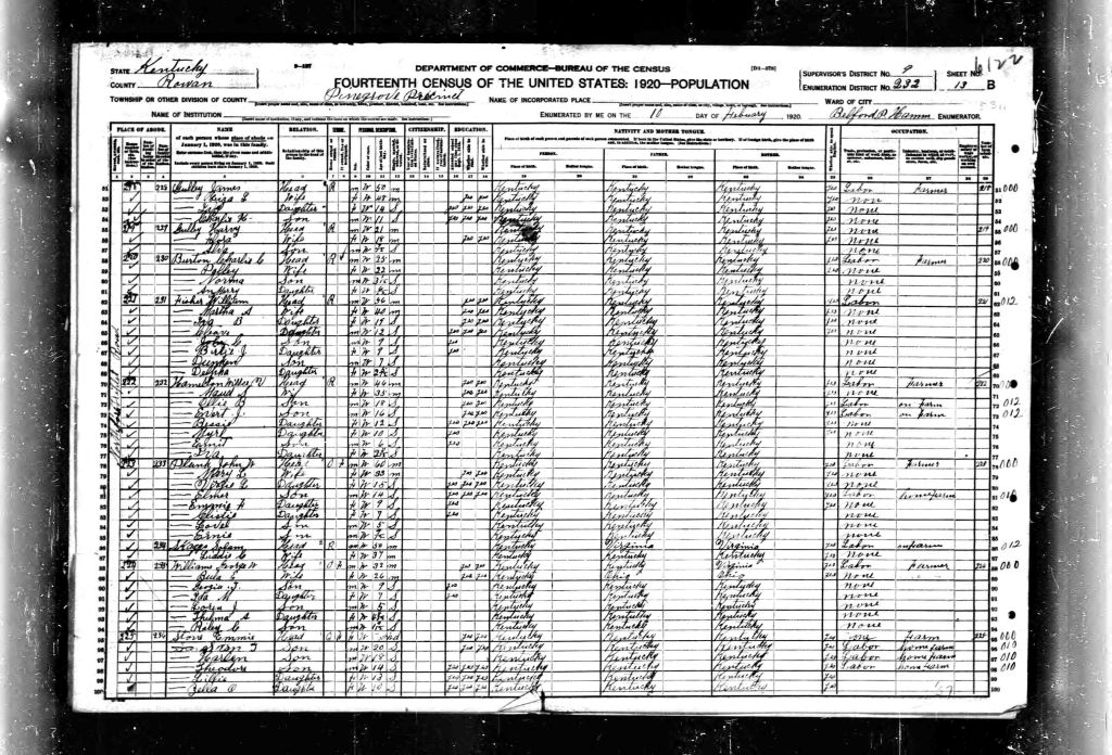 census image