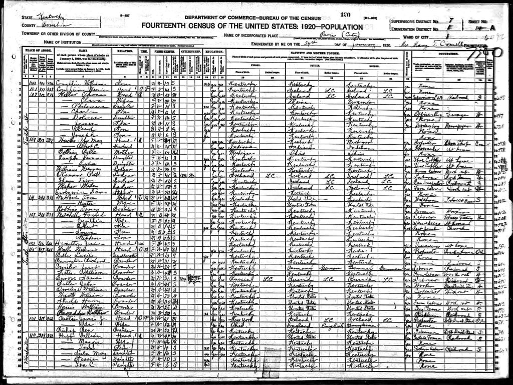 census image