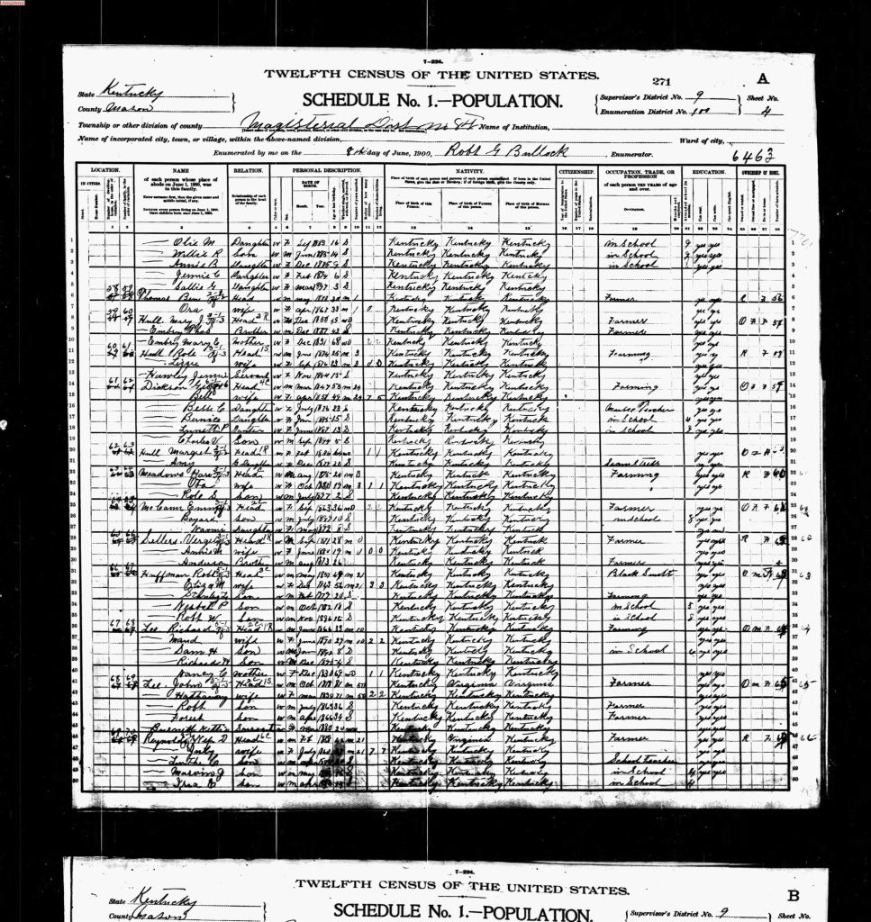 census image