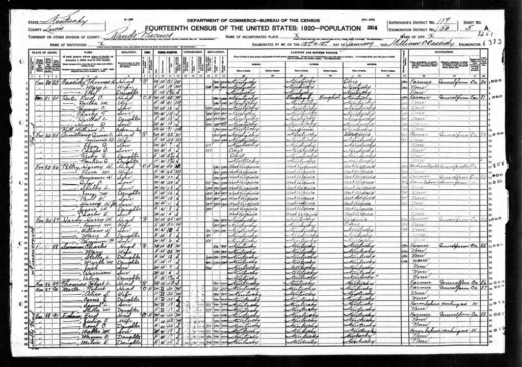 census image