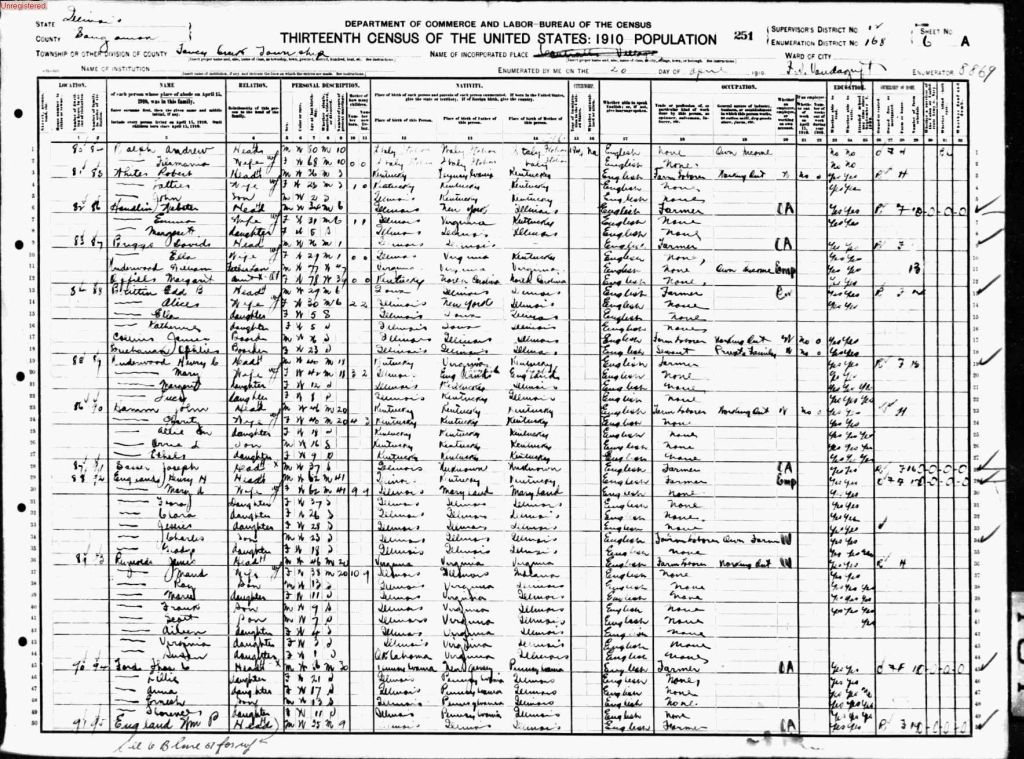 census image