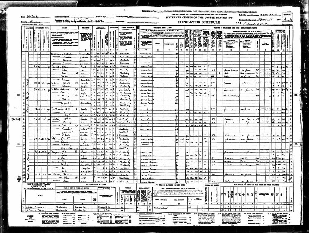 census image