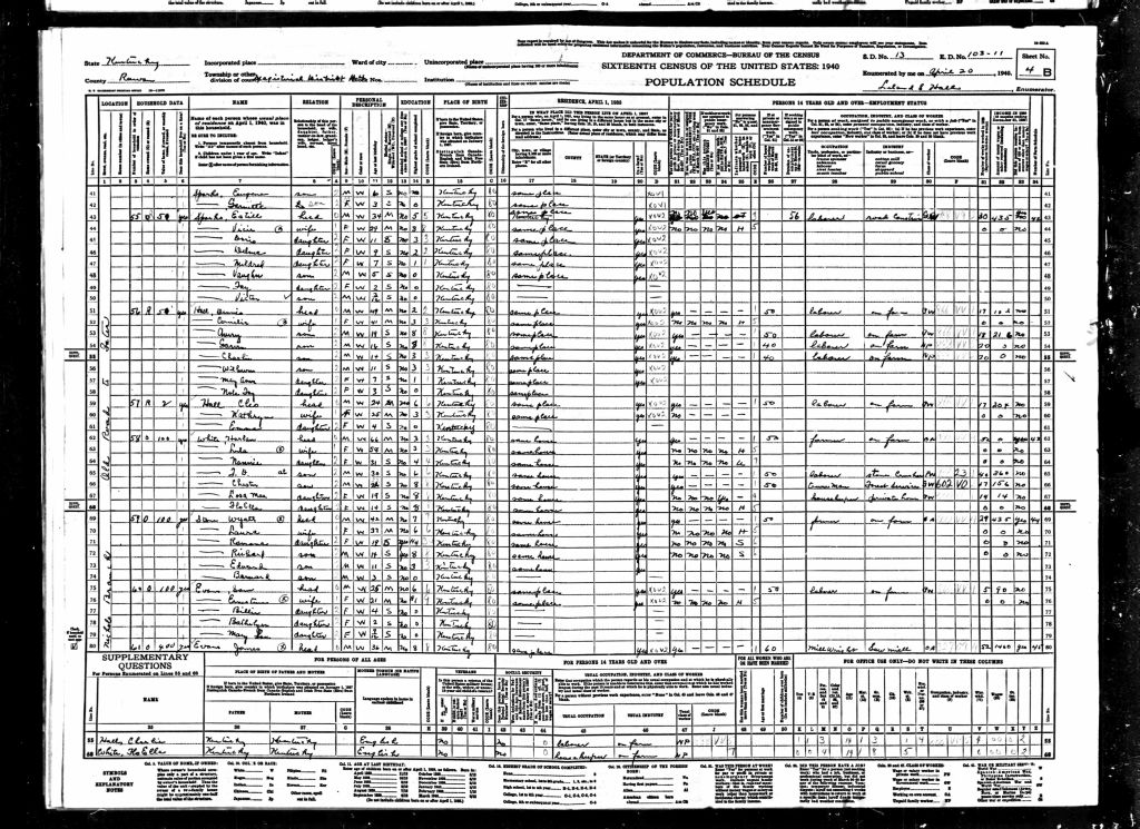 census image