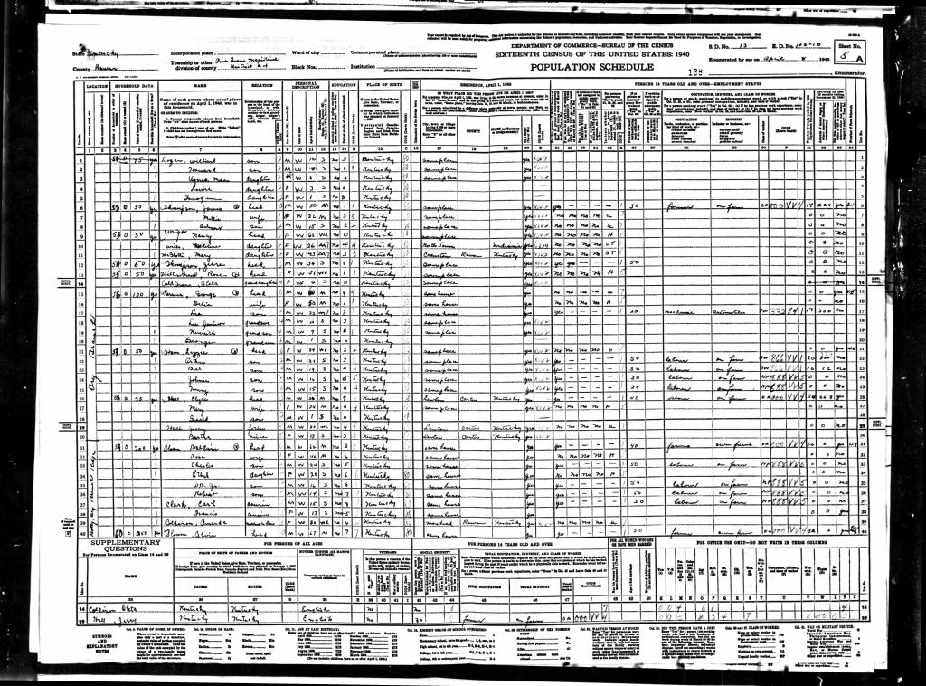 census image