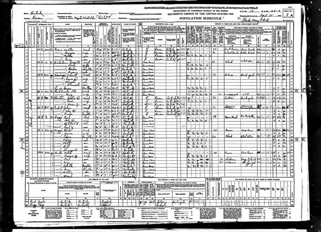 census image