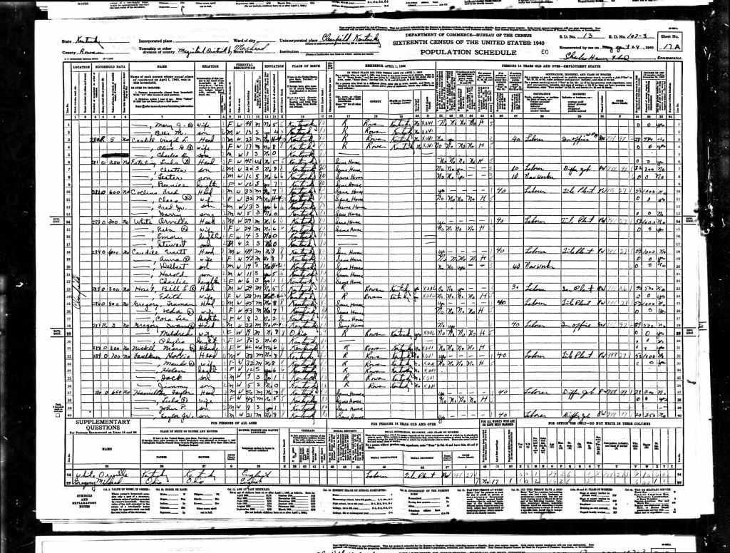 census image