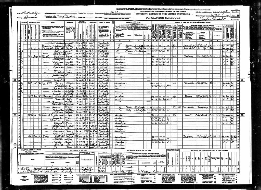 census image