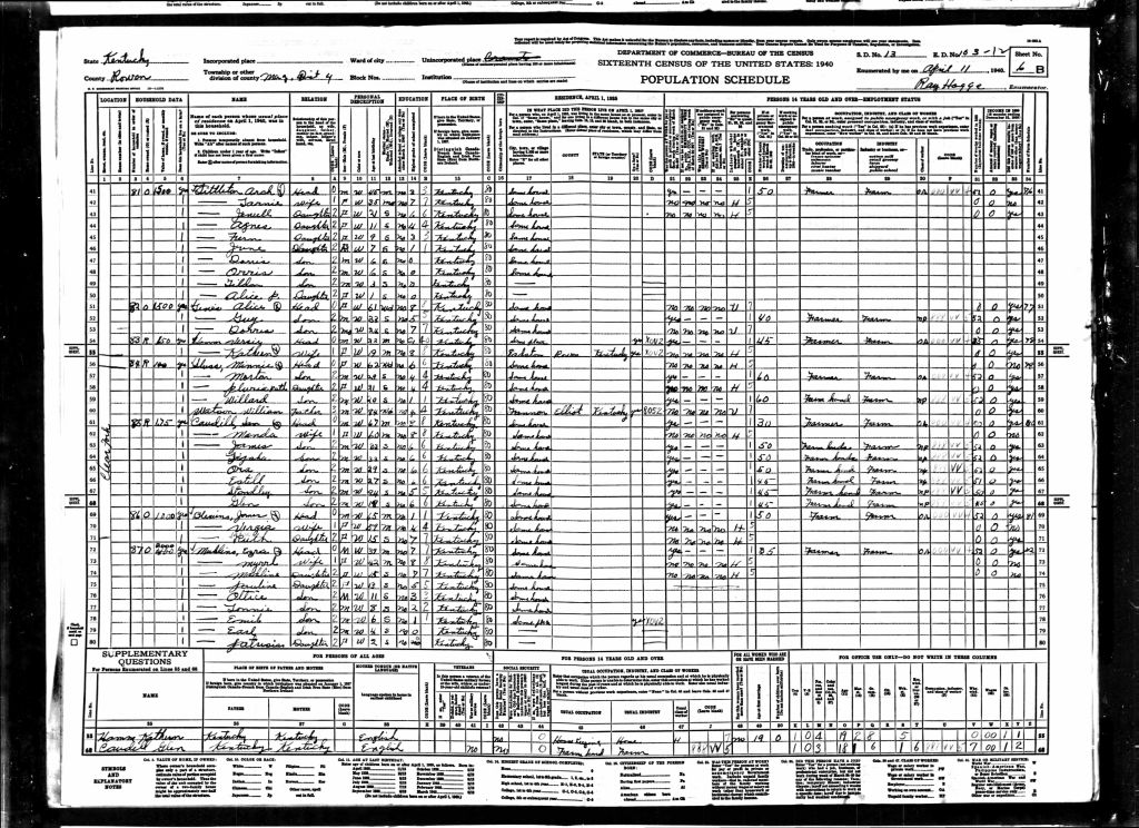 census image