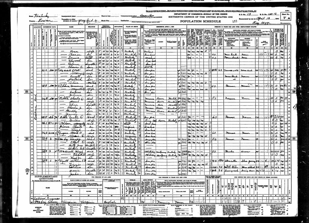 census image