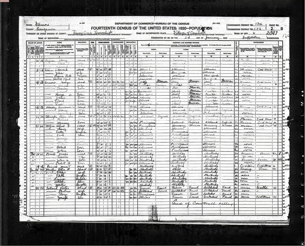 census image