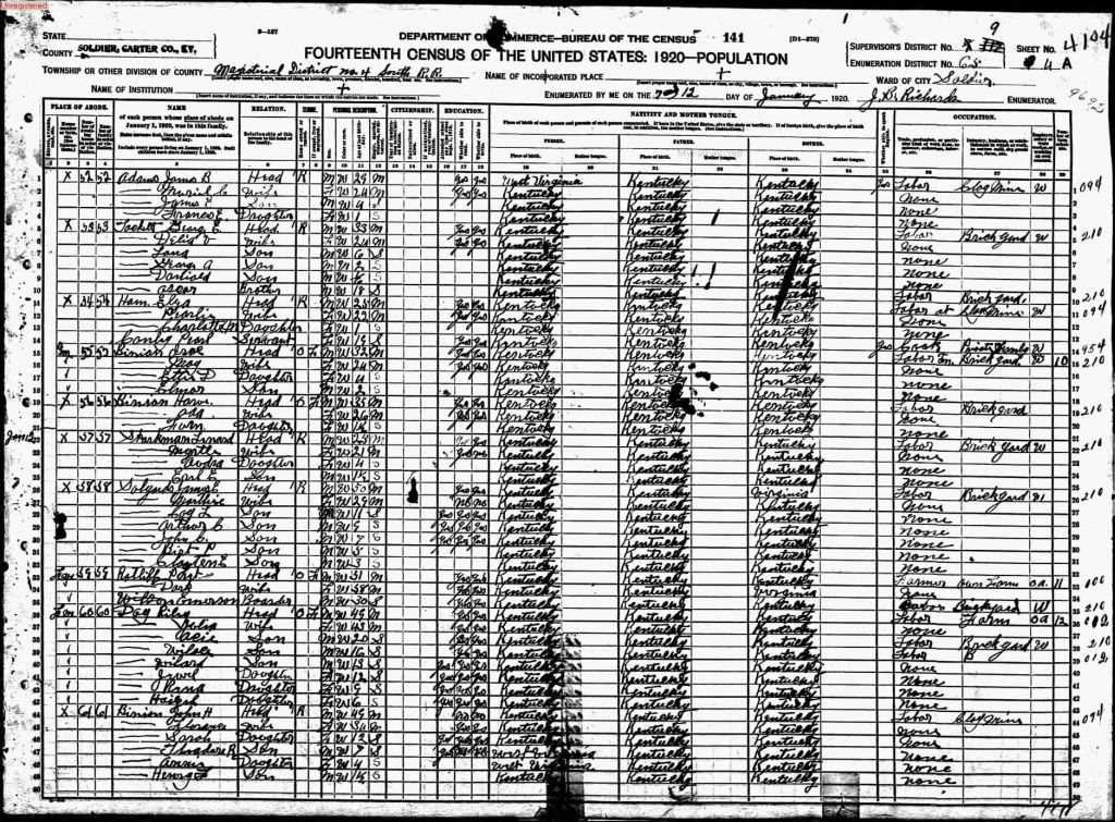 census image