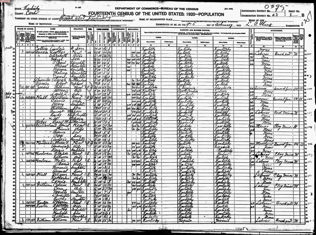 census image