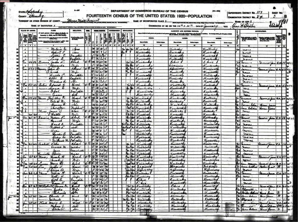 census image