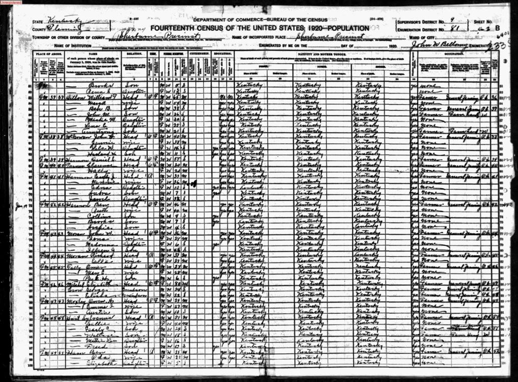 census image