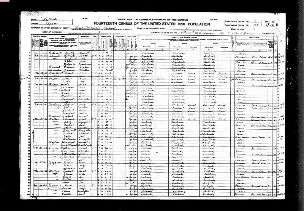 census image