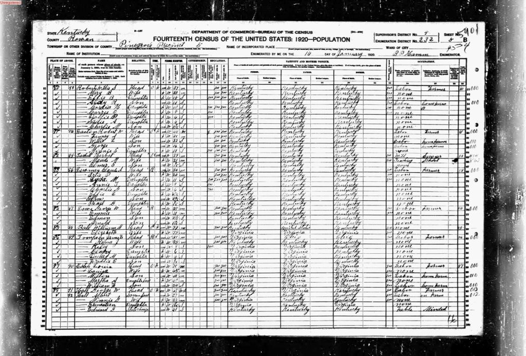 census image