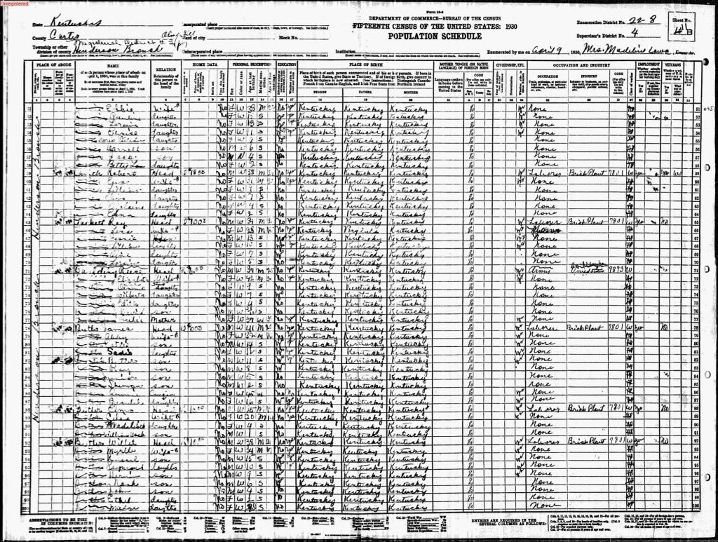 census image